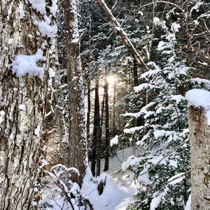 Meet your Posher, Adam